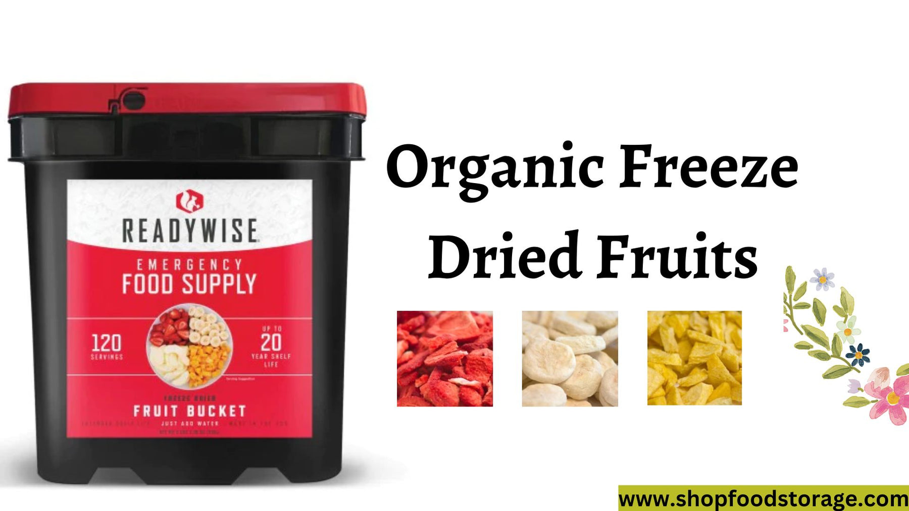 Buy Premium Organic Freeze Dried Fruits